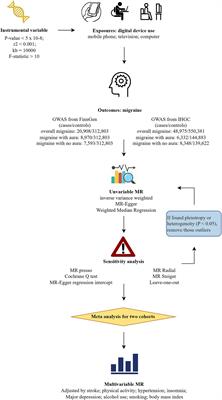 The role of digital device use on the risk of migraine: a univariable and multivariable Mendelian randomization study